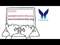 Staff Augmentation Companies: Manage and pay external workforce at ease with Transformify