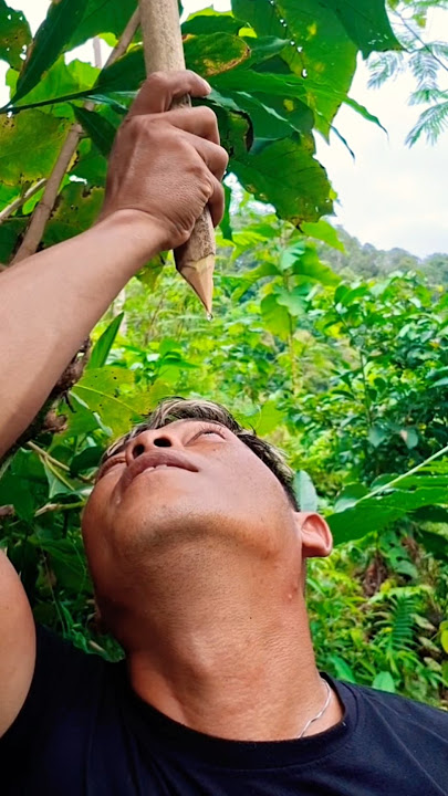 ancestral heritage of those with short-sightedness 👇 #shorts #traditionalmedicine