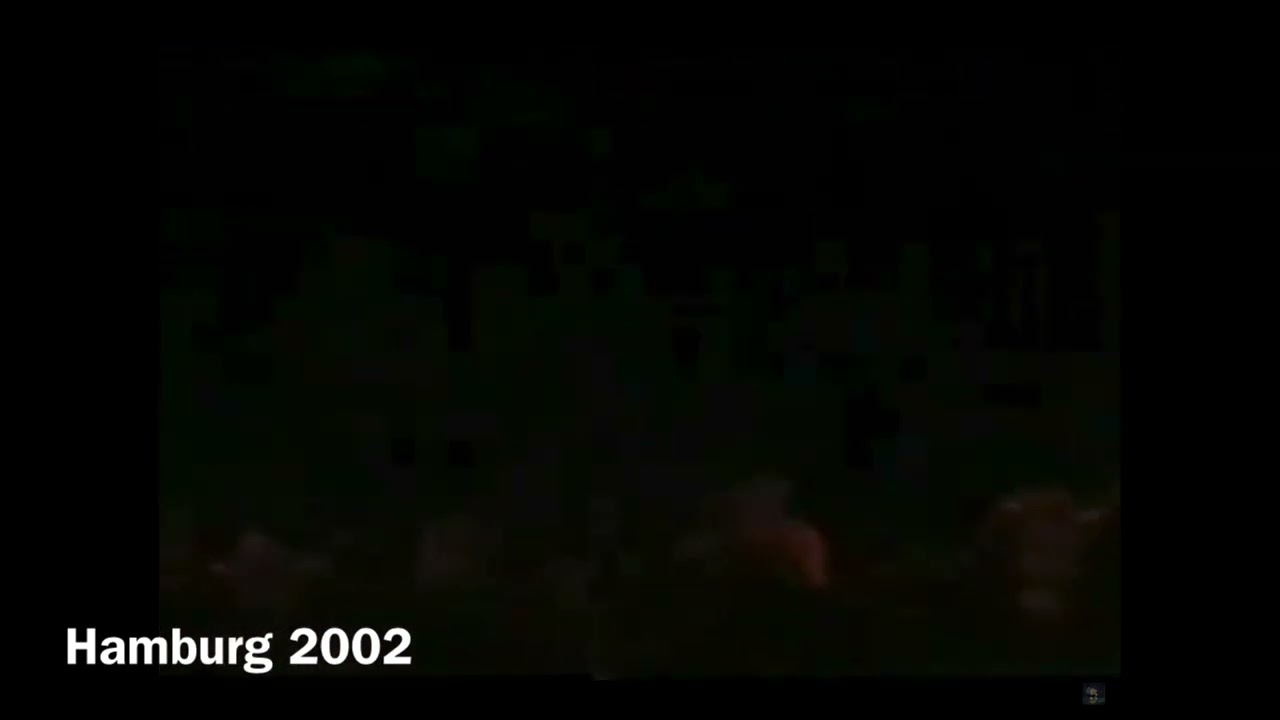 The Lion King Musical Stampede “Long Live The King” Comparison