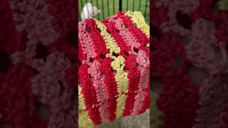Who is the prettiest? #dog #crochetscarf #crocheting #crochet #shorts #crochetshorts #ad #häkeln
