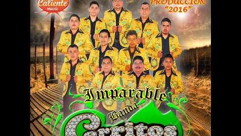 IMPARABLE BANDA CERRITOS 2016 -TE QUIERO TE QUIERO