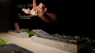 Loft Campus Ledge