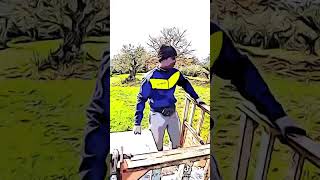 T Rex 105 e TNF 95: missione concime completat #trattoristyle #ulivicoltura #epicfarming #football