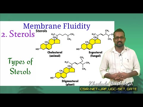 Lecture-10 P(3)| Membrane Sterols | Structures & Function | Types | Asymmetry in  membrane | Steroid