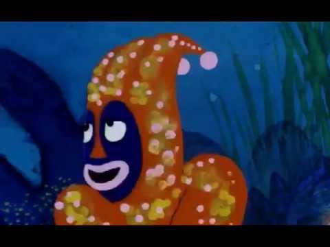 Video: Forskellen Mellem Blæksprutte Og Vandmænd