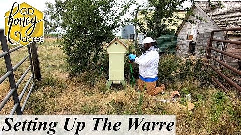 Setting up the Warre Hive
