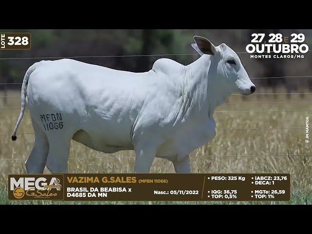 LOTE 328   MFBN 11066