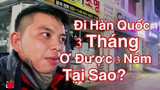Cách Sinh Vlog Xin ViSa Hàn Quốc 3 Tháng Nhưng Ở Được 3 Năm | Sinh Vlog - Cuộc Sống Hàn Quốc