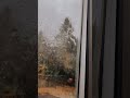 ونعمة بالله اكسبلور قرآن ربيع القلب تصويري مطر ماشاءالله Pluie ونعمة بالله اكسبلور قرآن ربيع القلب تصويري مطر ماشاءالله Pluie