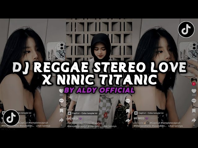 DJ REGGAE STEREO LOVE X NINIC TITANIC COCOK UNTUK SANTAI class=