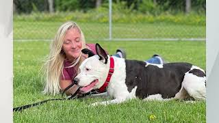 Pet Connection Cubby 8-17-22