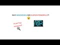 Why MacBooks Are Superpowerful | Unleashing the Power of Apple Laptops