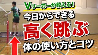 Vリーガーのジャンプ力を測定！高く跳ぶコツとおすすめトレーニング【最高到達点】【バレーボール強育塾】