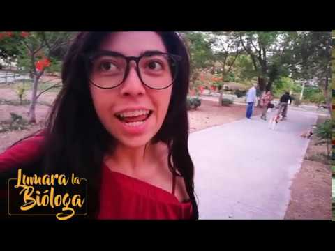 En búsqueda del Tabachín |Pretemporada