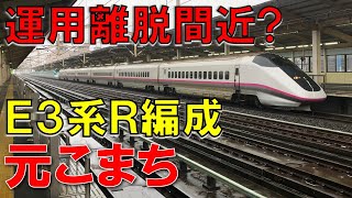 【消滅間近？】東北新幹線 E3系R編成を撮影してきた  （JR東日本）