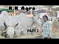 R.K Agro farm Limited. (Part 2)