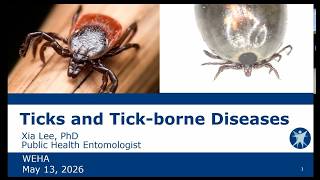 WEHA Wednesday Webinar, May 13th, 2026; Title Ticks and Tick borne Diseases