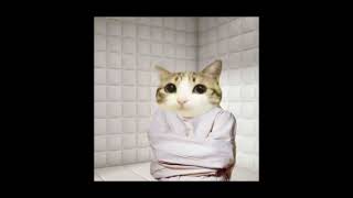Li̇n Pesto - Sadece Sevi̇lmek İstedi̇m (Slowed & Reverbed)