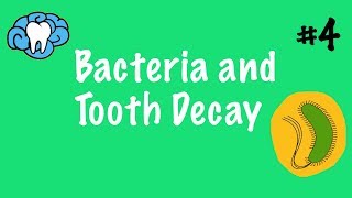 Bacteria and Tooth Decay