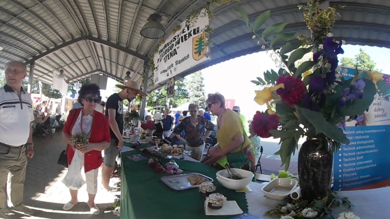 Wiosna dookoła Wrocławia - Oborniki Śląskie