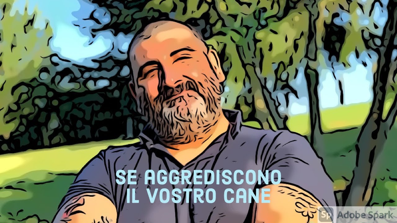 Se aggrediscono il vostro cane