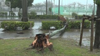 El tifón n.º 30 se acerca a las islas Sakishima de Okinawa, cortes de luz en Ishigaki; posibles lluvias intensas en Kanto
