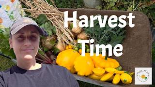 Harvest Time at the Allotment! Tomatoes, Kale & Courgettes Galore