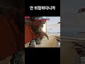 kidding 오버워치식 해석