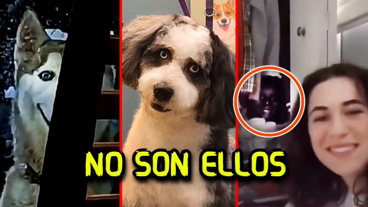 NO SON HUMANOS | 30 Casos de Mimics y Skinwalkers 💀