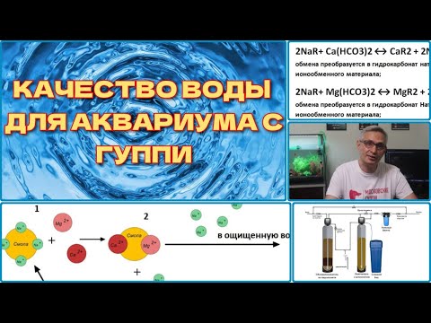 КАЧЕСТВО ВОДЫ ДЛЯ АКВАРИУМА С ГУППИ - WATER QUALITY FOR AQUARIUM WITH GUPPIES