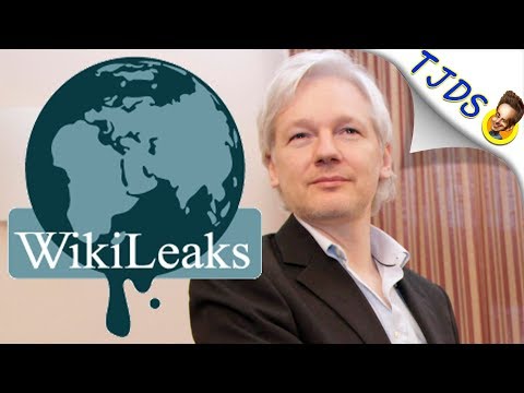 Top 10 Wikileaks Achievements