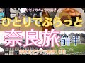 【奈良編前半 女ひとり旅】ひとりでぷらっと奈良旅/ランチ/カフェ/鹿/東大寺/変なホテル 奈良