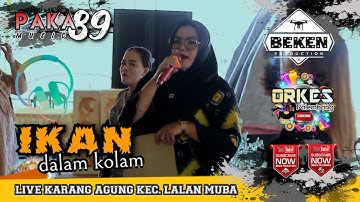 Paka 89 Music | Ikan Dalam Kolam | Live Karang Agung MUBA | WD Lebby And Ridwan | Beken Production