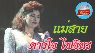 แม่สาย - ดาวใจ ไพจิตร (ภาพคอนเสิร์ต)