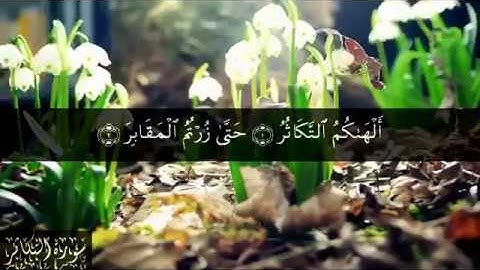 102 سورة التكاثر بصوت الشيخ سعد الغامدي