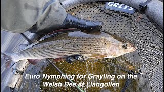 Euro nymphing for grayling on the Welsh Dee