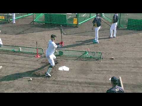 【プロ野球】2016.11.1  オリックス　2016秋季キャンプ　野手陣　『8駿太　トスバッティング』