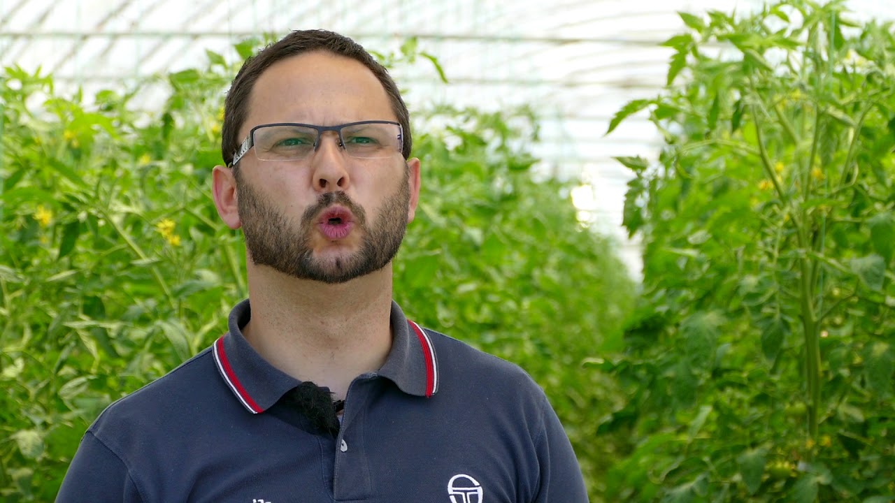 Slavol i Amiksol u povrtarstvu Agrounik