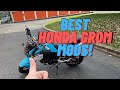 Best Mods For Your Honda Grom (Stunt or Not)