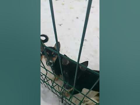 Зенки - YouTube