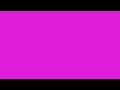 1 Hour Magenta Screen - 4K
