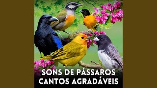 Galo de Campina Canto do Pássaro screenshot 1