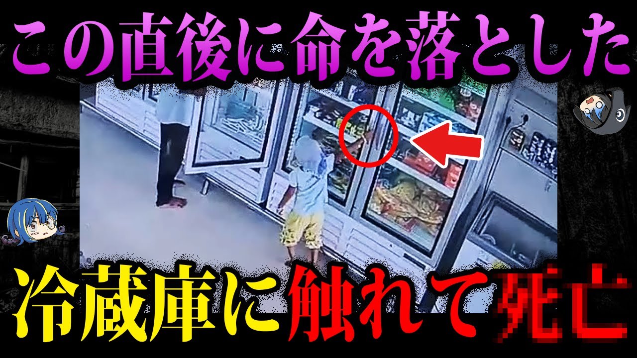 【ゆっくり解説】冷蔵庫を開けようとしただけなのに…本当にあったありえない死因4選