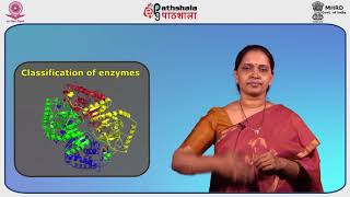 Enzymes in Food Processing and Preservation