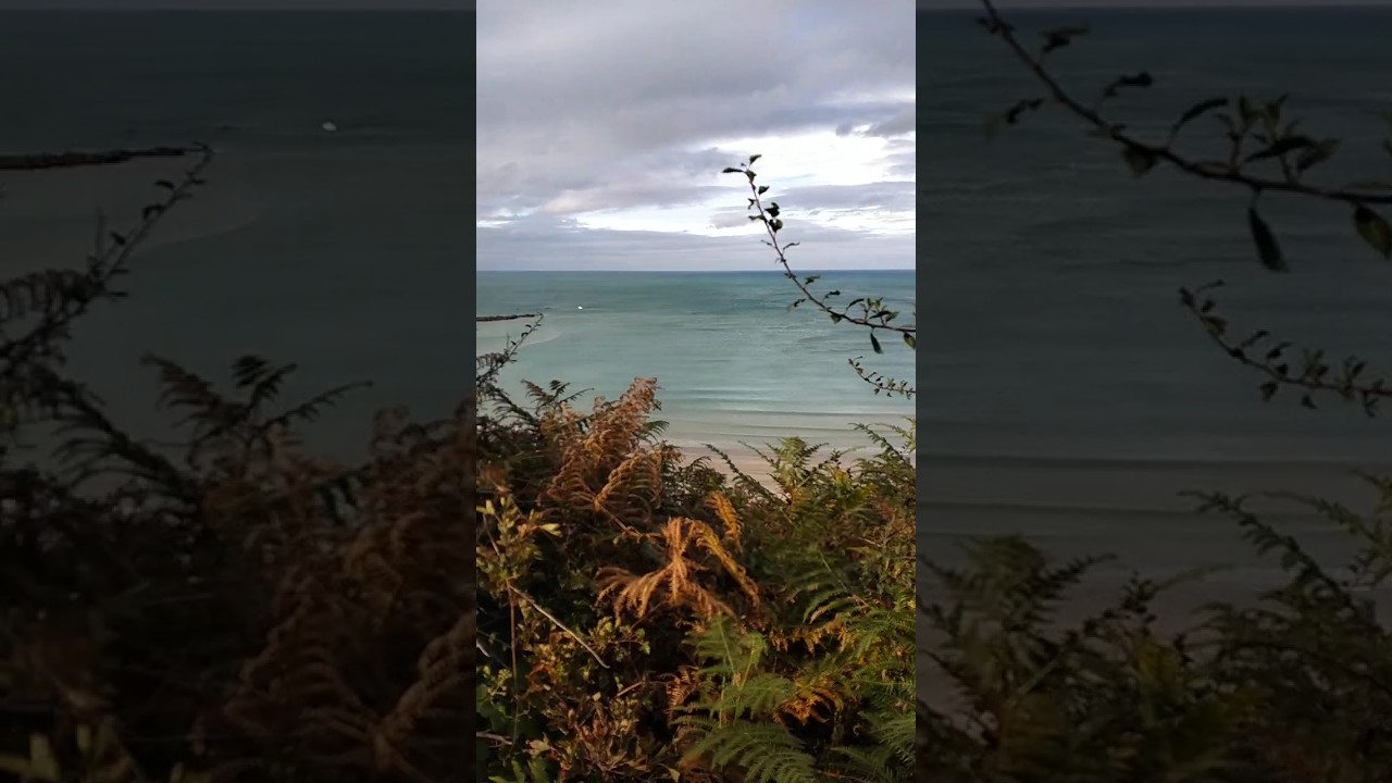 Randonnée Pointe du Roselier, Plérin. 