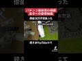 【虐待】母親のせいで借金50万円背負った #shorts