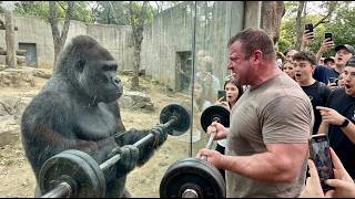 🦍 Gorilla vs Human Strength Test | 10 Minutes That Shocked Everyone 😱🔥 #shorts #gorilla #strength