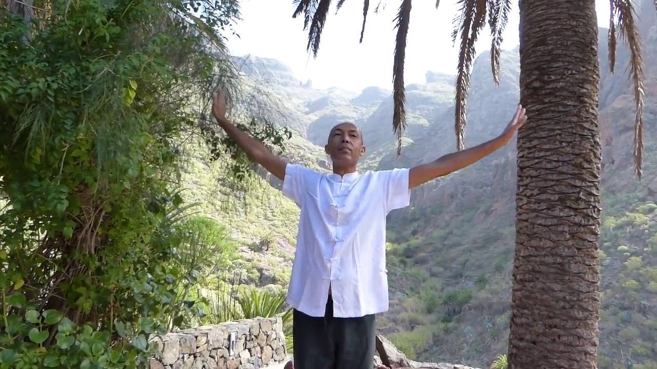 qi-gong psychotic reaction Chi-Kung osteopático para cervicales, hombro y dorsales