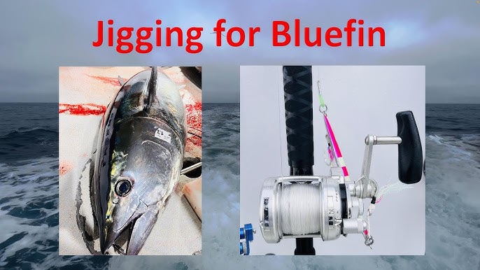 Bluefin Tuna Fishing June 2022, Sinker Rig