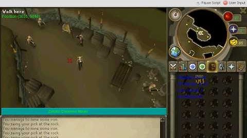 zylskis Dwarven Miner rs macro